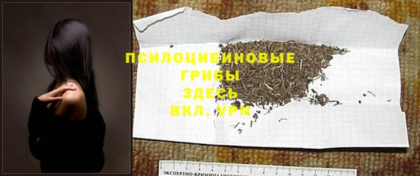 jwh Протвино