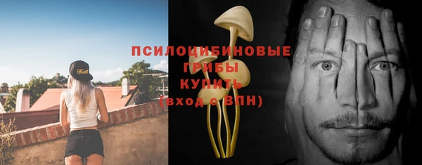 дмт Алексин