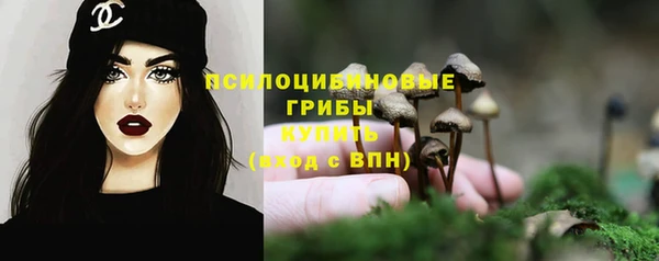 мяу мяу мука Алексеевка