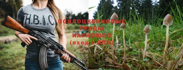 прущие крисы Алзамай