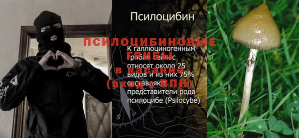 дмт Алексин