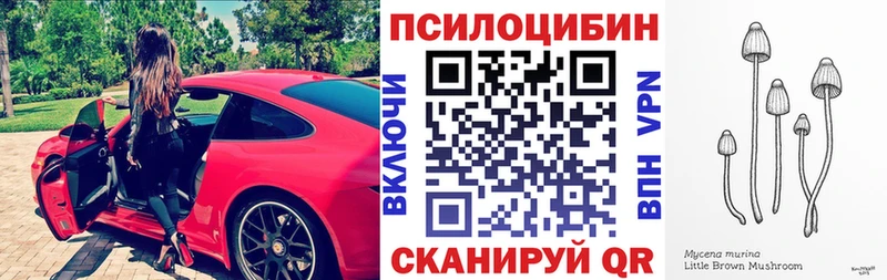 Галлюциногенные грибы Cubensis  Петровск-Забайкальский 