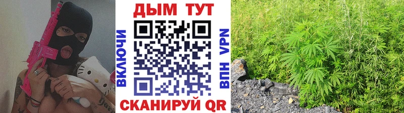 OMG вход  Петровск-Забайкальский  Каннабис индика 